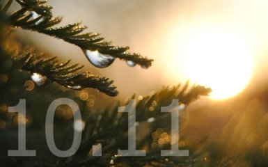 Прогноз погоды в Украине на 10 ноября