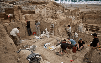 50% населения планеты происходит от Ямной культуры