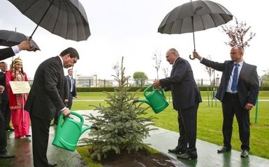 Лукашенко решил полить дерево под дождем: появилось забавное фото