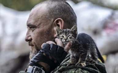 Коты в зоне АТО: появилась трогательная подборка фото за 2016 год