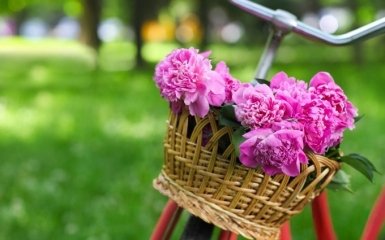 Украинцам рассказали, сколько дней они будут отдыхать в мае