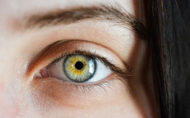 Зарядка для глаз: что ухудшает зрение и как помочь глазам