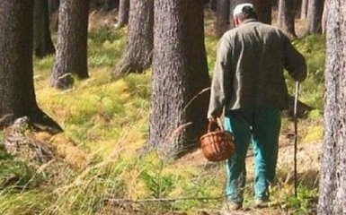 Міндовкілля вдесятеро збільшило штрафи за незаконне збирання грибів та ягід