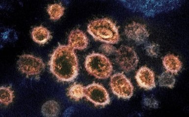 Россию обвинили в кампании по дезинформации на фоне пандемии коронавируса