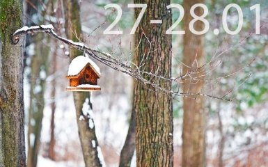 Прогноз погоди на вихідні дні в Україні - 27-28 січня