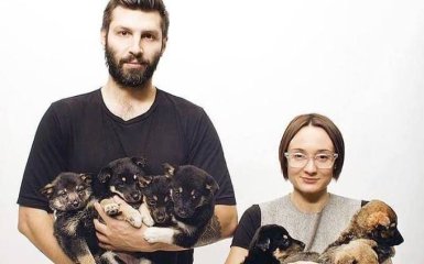 Помоги щенкам найти дом: организатор самого доброго проекта отчитался об успехах