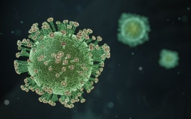 Медики з'ясували, як коронавірус уражає нервову систему та мозок