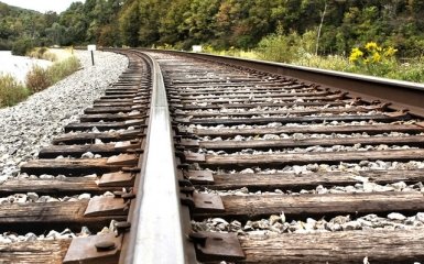 Скоро "шелковый путь" заработает в бизнес-режиме - Пивоварский