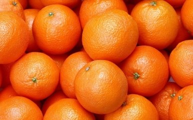 В РФ уничтожили 225 кг санкционных мандарин из Турции