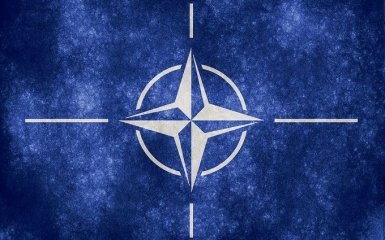 В НАТО впервые ответили на сокрушительную критику Трампа