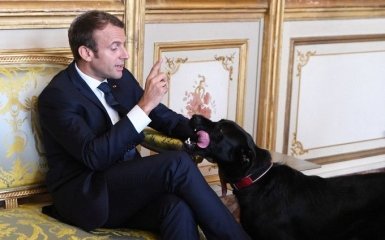 Собака президента Франции сорвала важную встречу: опубликовано курьезное видео
