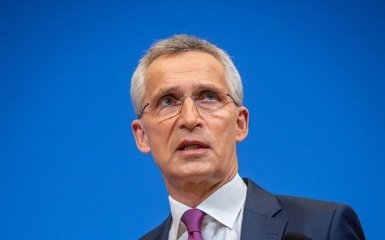 Рада назвала реальну причину відсутності ПДЧ для України