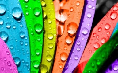 Експерт розповів, яким буде головний колір 2020 року