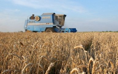 Україна зберегла лідерство на світовому ринку зерна - Кабмін