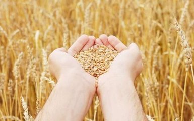 Китайская компания выплатит Украине $7 млн за поставленное зерно - суд