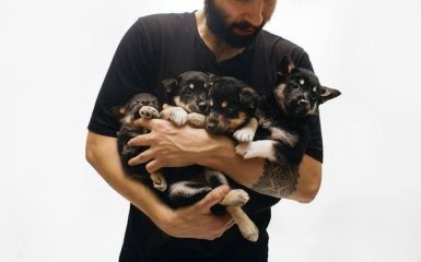 Помоги щенкам найти дом: в Киеве стартовал самый добрый фотопроект для животных