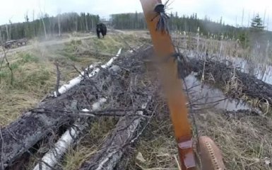 У Канаді мисливець спробував захиститися від нападу ведмедя луком та стрілами: опубліковано відео