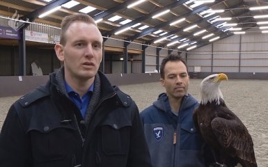 Голландские полицейские обучают орлов уничтожать дроны