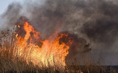 Russian occupiers in the Kherson region's TOT are sabotaging command orders — what is known