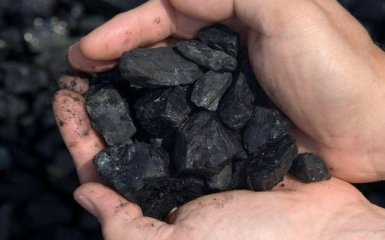 Екологи протестують проти спалювання вугілля замість природного газу