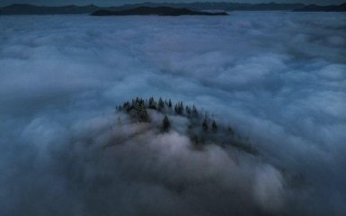 Эксперты выбрали лучшее фото дикой природы - на него стоит посмотреть