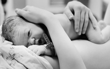 У США зафіксований випадок передачі вірусу Зіка від людини до людини