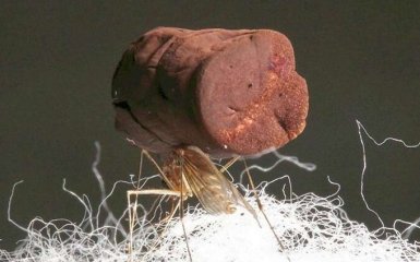 Підніме навіть комар: науковці створили надлегку металічну піну