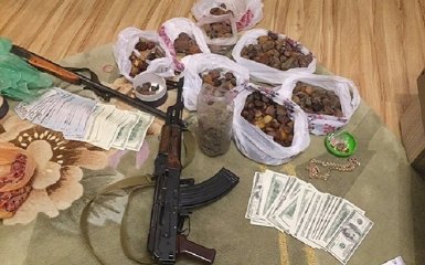 Доллары и оружие: появились новые фото и видео результатов "янтарных" обысков на Ровенщине