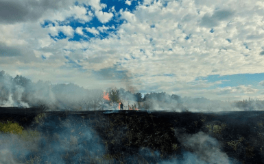 Дніпропетровщина