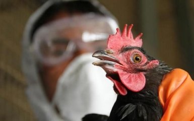 У Росії зафіксували перше в світі зараження людини пташиним грипом H5N8