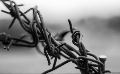 Порошенко готовий на масштабне помилування росіян заради звільнення бранців Кремля - ​​Геращенко