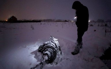 Авиакатастрофа Ан-148 в Подмосковье: появилось видео момента крушения