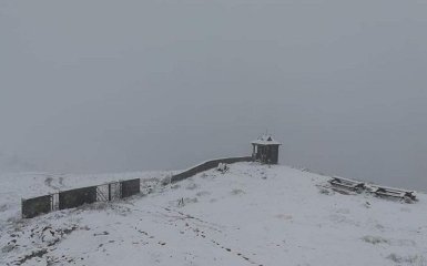 Let It Snow: Карпати засипало снігом - опубліковані вражаючі фото