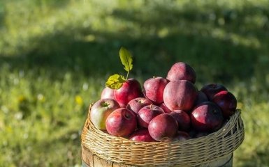 Яблучний Спас 2018: традиції, заборони і красиві привітання