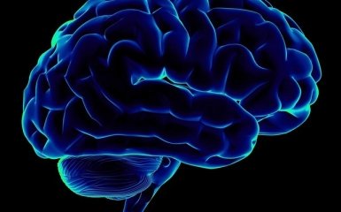 Людський мозок працює абсолютно по-різному в різні пори року