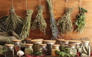 МОЗ хоче заборони діяльності народних цілителів