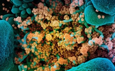 У МОЗ попередили, як не допустити "індійського сценарію" з коронавірусом