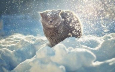 Куда пойти в Киеве в выходные: самые интересные события 20-21 января