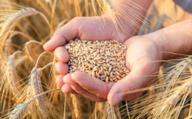 Россия нашла новый коварный способ заблокировать экспорт украинского зерна