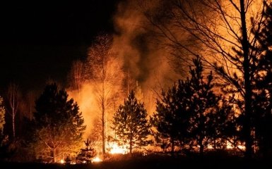 Сибір накрили масштабні пожежі, а рятувальники на війні в Україні