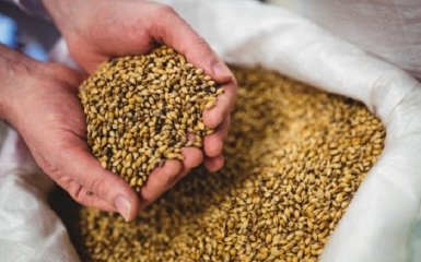 Продлит ли ЕС запрет импорта зерна из Украины — данные RMF FM