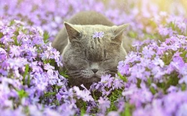 Животные в ожидании весны: опубликованы фото