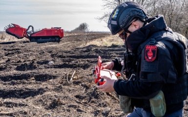 міни