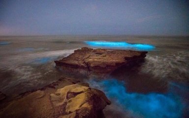 В Калифорнии неожиданно засветился океан: опубликованы яркие фото и видео