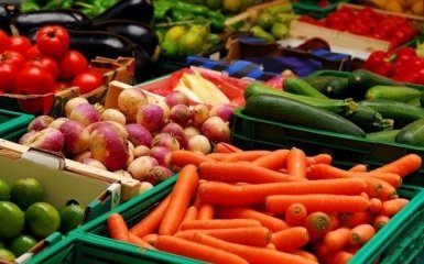 В России решили, сколько еще давить бульдозерами импортные продукты