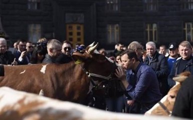 Кому і корова наречена: в соцмережах посміялися з Ляшка