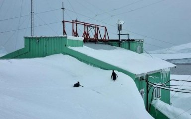 На станції "Академік Вернадський" зафіксували новий сніговий рекорд — фото