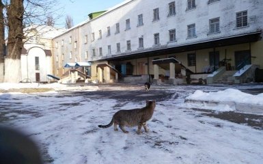 Кровавый инцидент в киевском СИЗО: стали известны новые детали