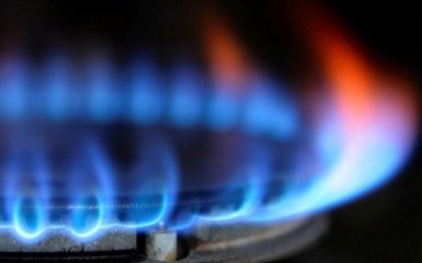 В России заговорили о поставках дешевого газа в Украину - "Нафтогаз" отреагировал