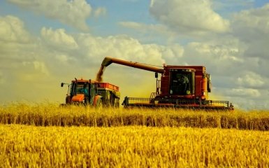 Врожай зернових знизився більш ніж на 6% в порівнянні з 2014 роком